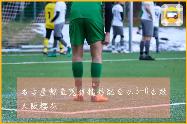 名古屋鲸鱼凭借精妙配合以3-0击败大阪樱花
