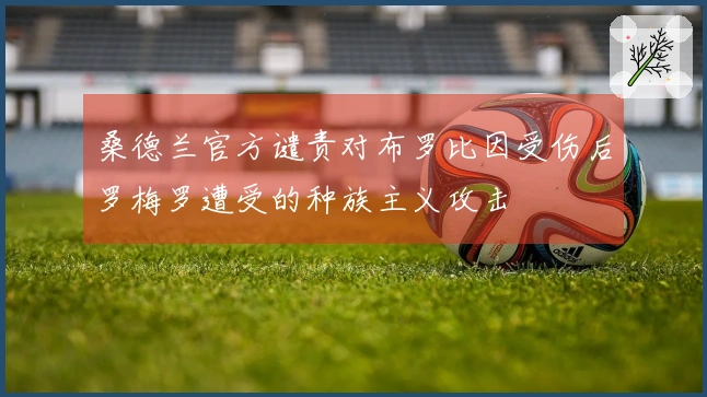 桑德兰官方谴责对布罗比因受伤后罗梅罗遭受的种族主义攻击