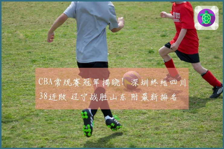CBA常规赛冠军揭晓！深圳终结四川38连败 辽宁战胜山东 附最新排名