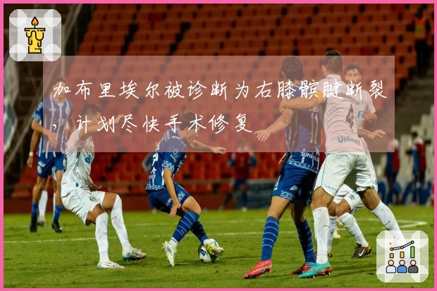 加布里埃尔被诊断为右膝髌腱断裂，计划尽快手术修复